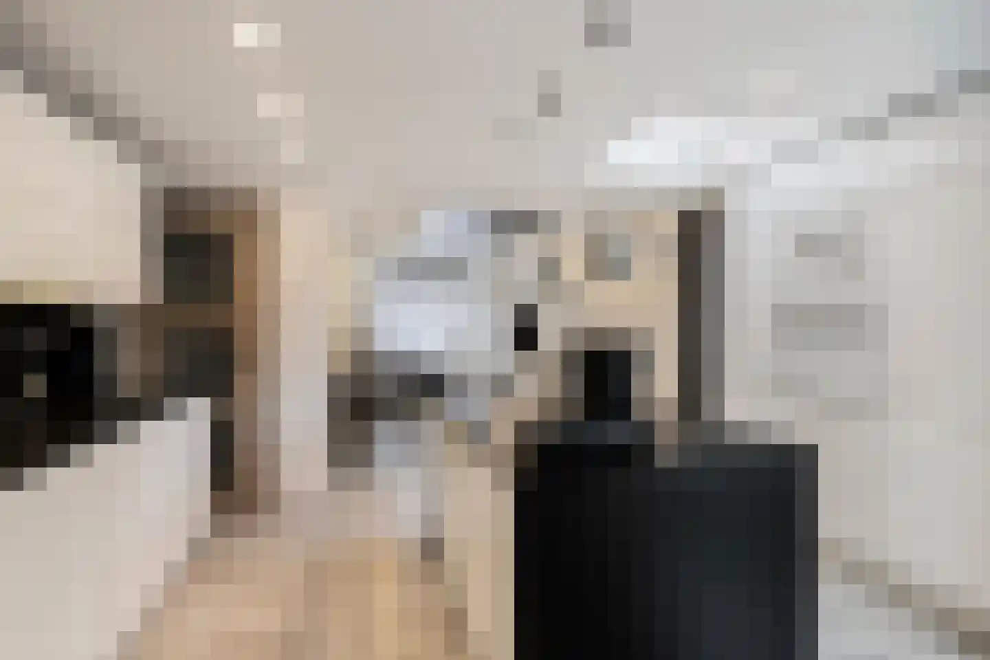 Van Linschotenstraat 10 Tilburg thumbnail 20