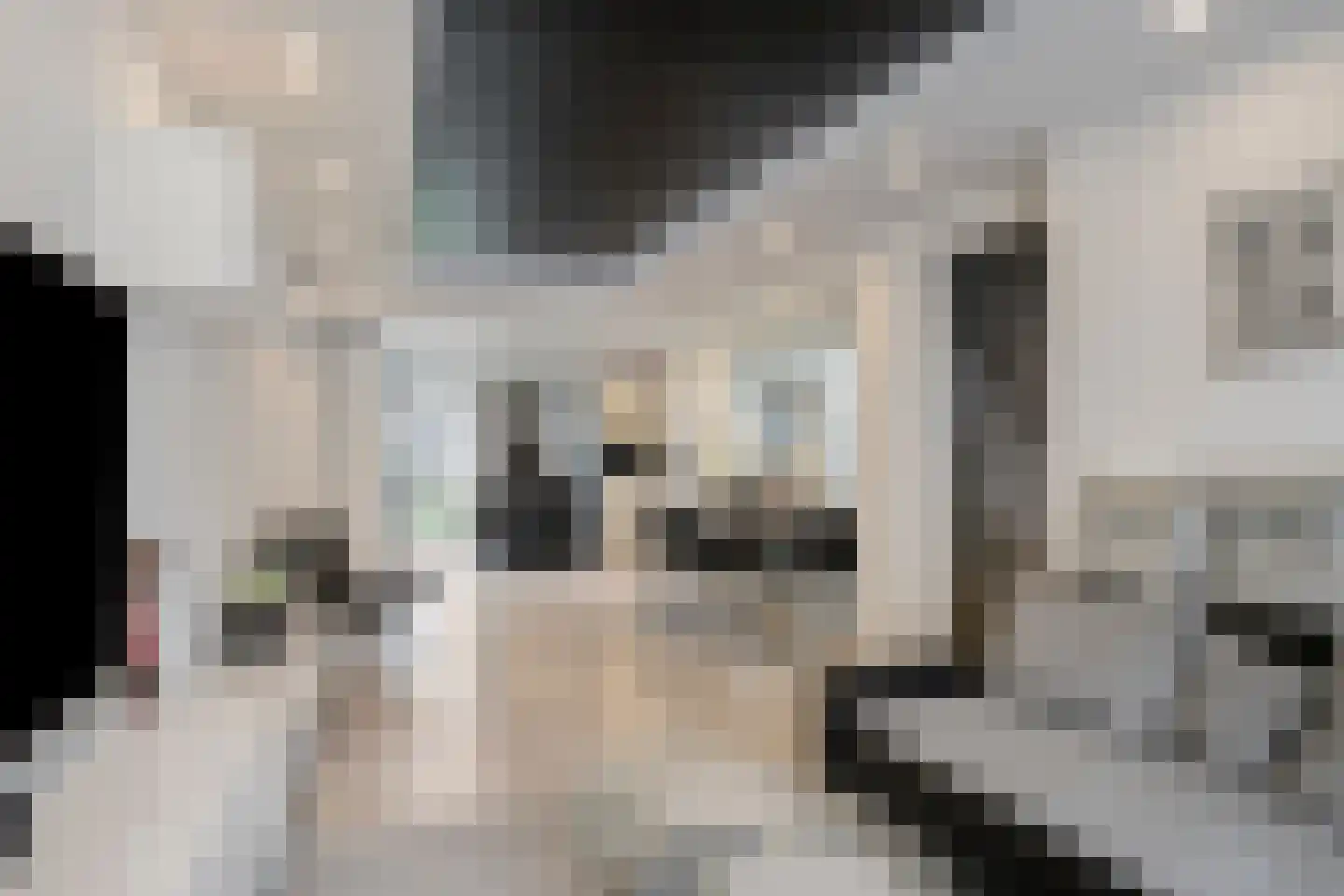 Van Linschotenstraat 10 Tilburg thumbnail 6
