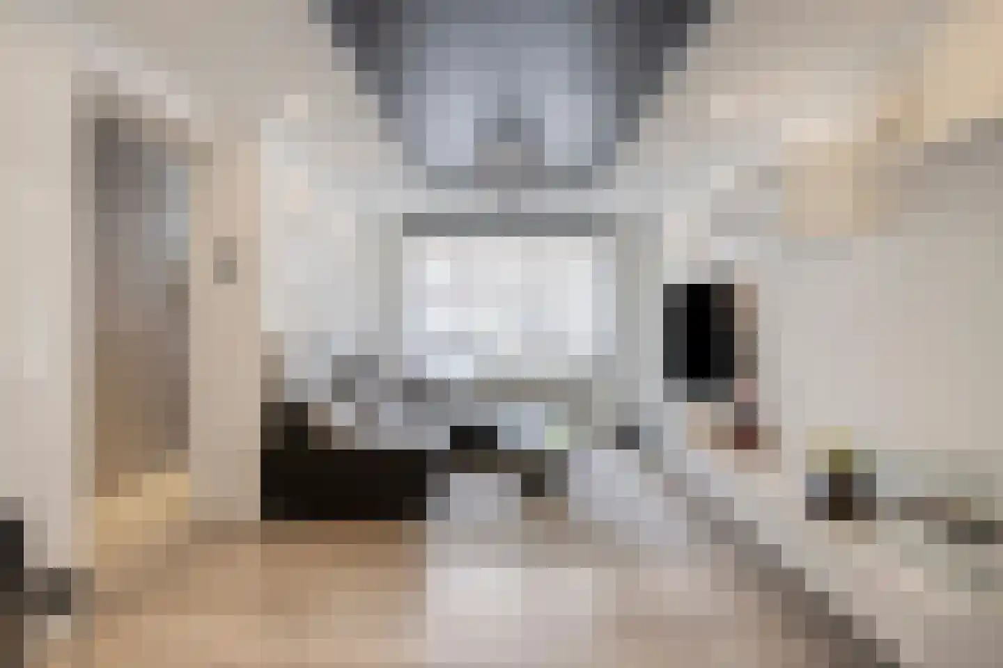 Van Linschotenstraat 10 Tilburg thumbnail 8