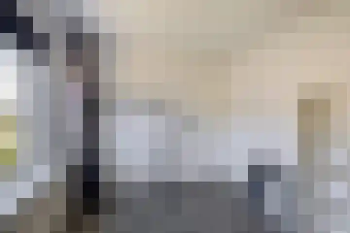 van Linschotenstraat 12 Lisse thumbnail 18