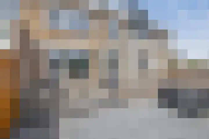 van Linschotenstraat 12 Lisse thumbnail 27
