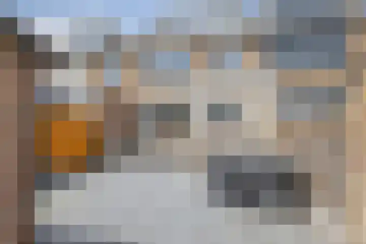 van Linschotenstraat 12 Lisse thumbnail 28