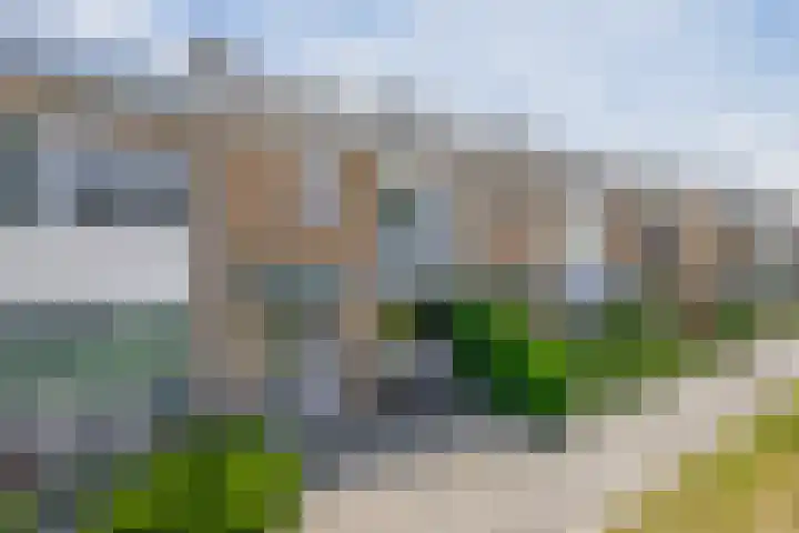 van Linschotenstraat 12 Lisse thumbnail 31