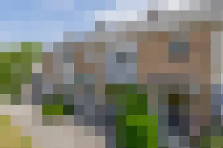 van Linschotenstraat 12 Lisse thumbnail 32
