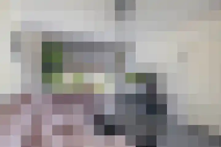 van Linschotenstraat 12 Lisse thumbnail 4