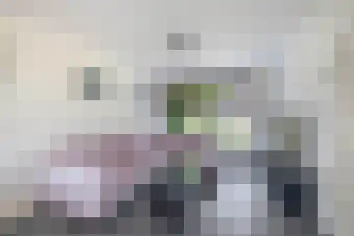 van Linschotenstraat 12 Lisse thumbnail 5