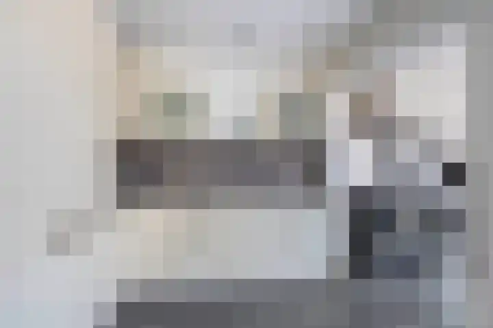 van Linschotenstraat 12 Lisse thumbnail 7