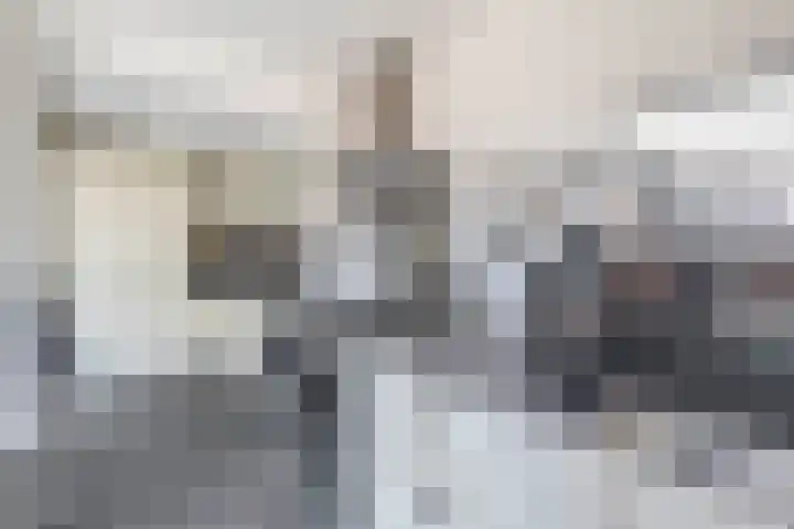 van Linschotenstraat 12 Lisse thumbnail 9