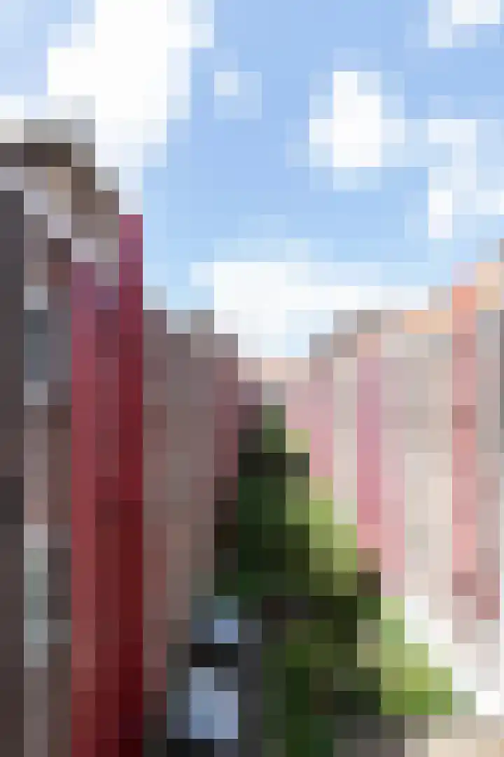Van Linschotenstraat 18 Amsterdam thumbnail 12