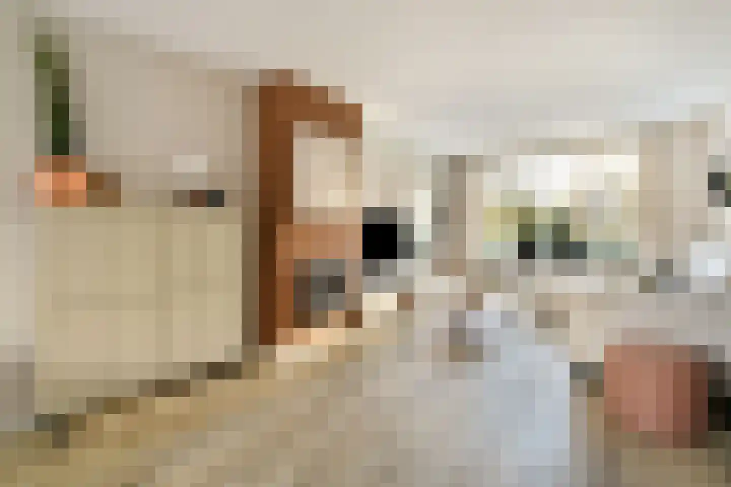 van Linschotenstraat 2 Lisse thumbnail 10