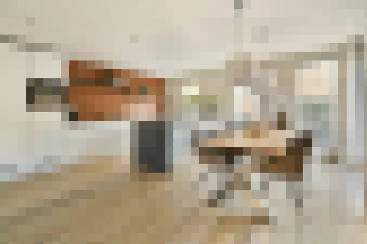 van Linschotenstraat 2 Lisse thumbnail 11