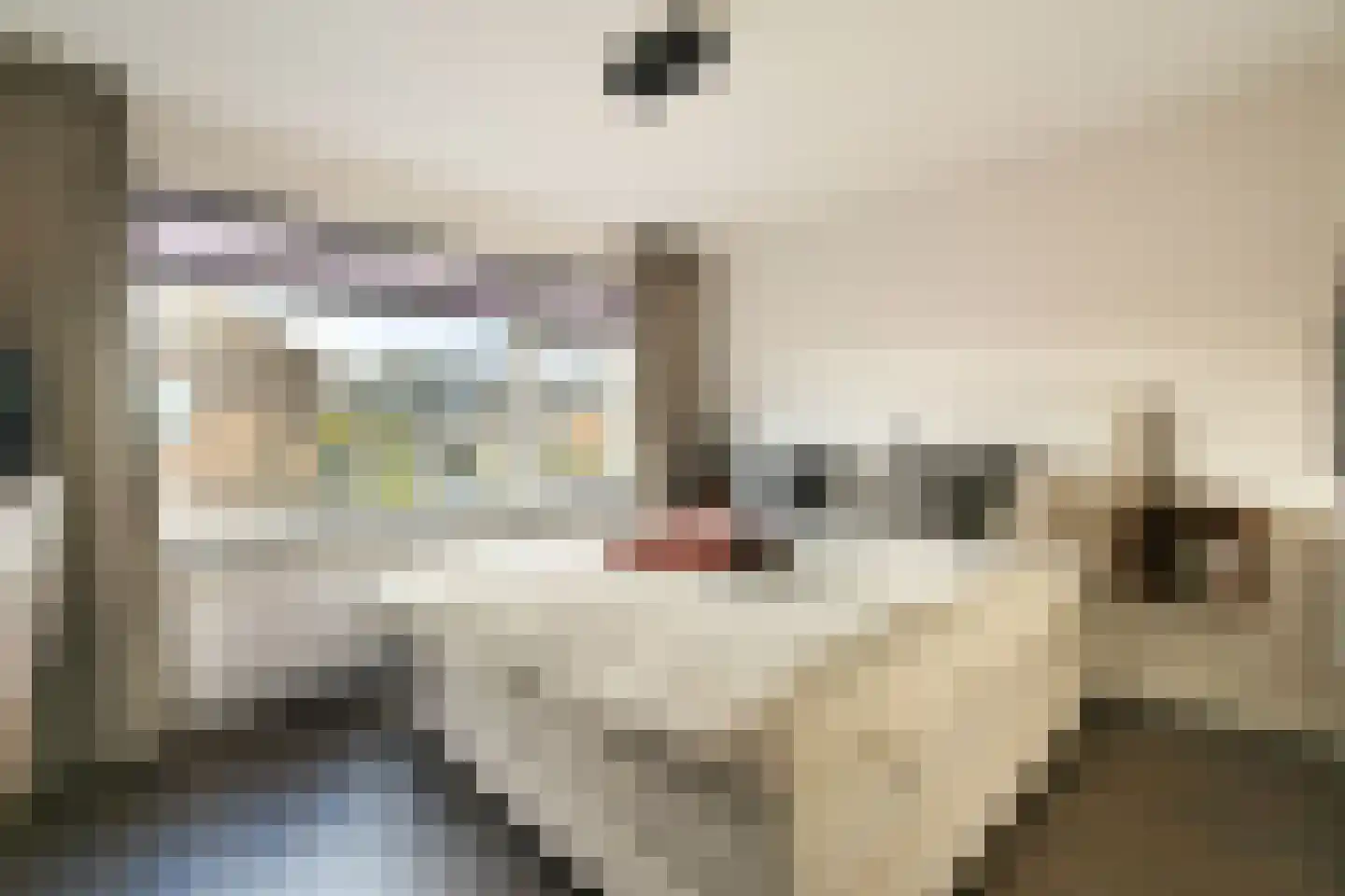 van Linschotenstraat 2 Lisse thumbnail 15