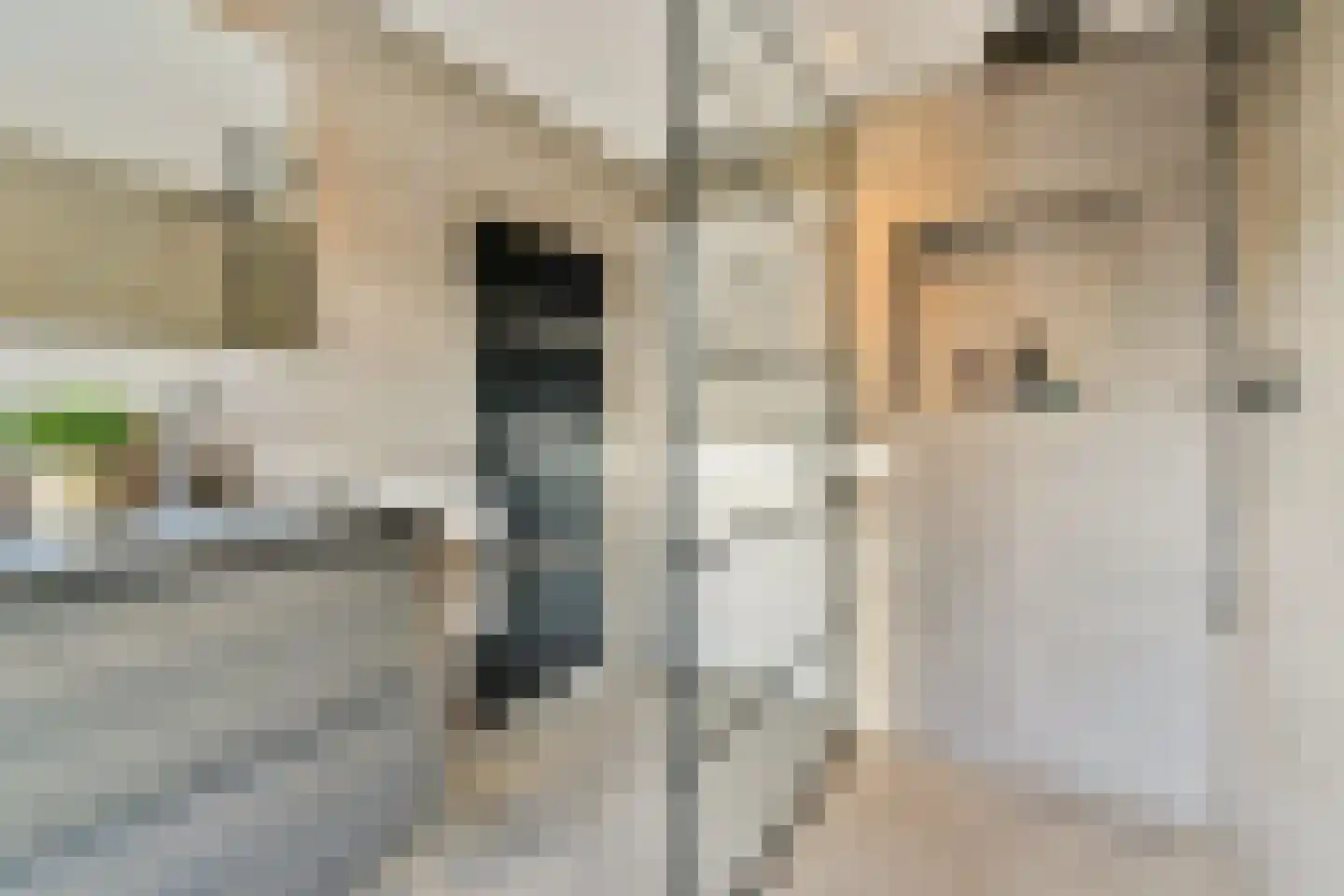 van Linschotenstraat 2 Lisse thumbnail 17