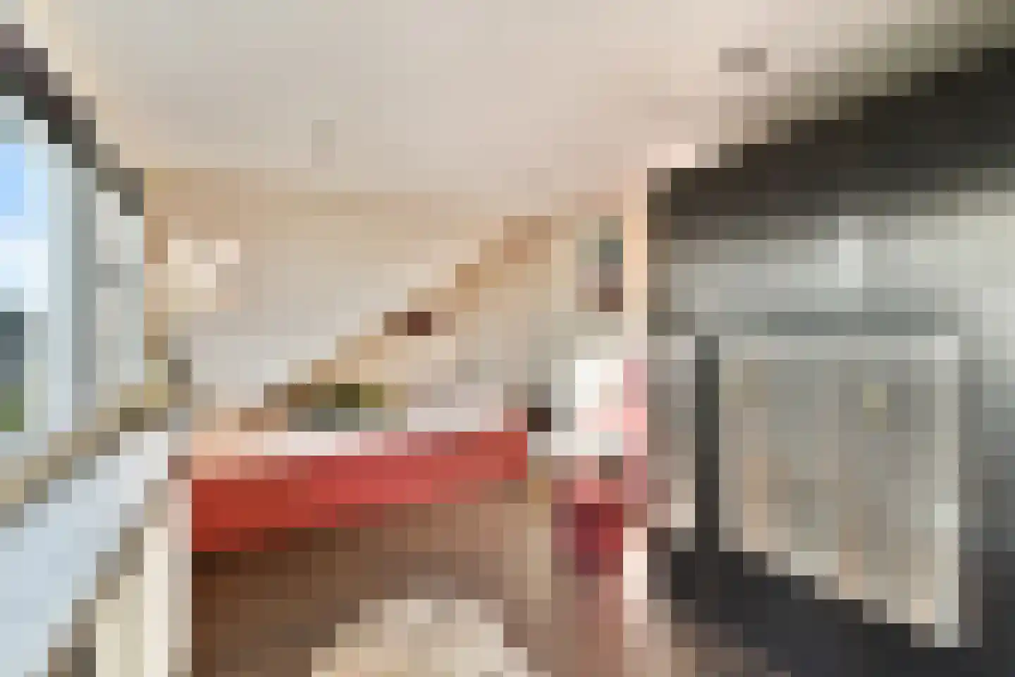 van Linschotenstraat 2 Lisse thumbnail 23