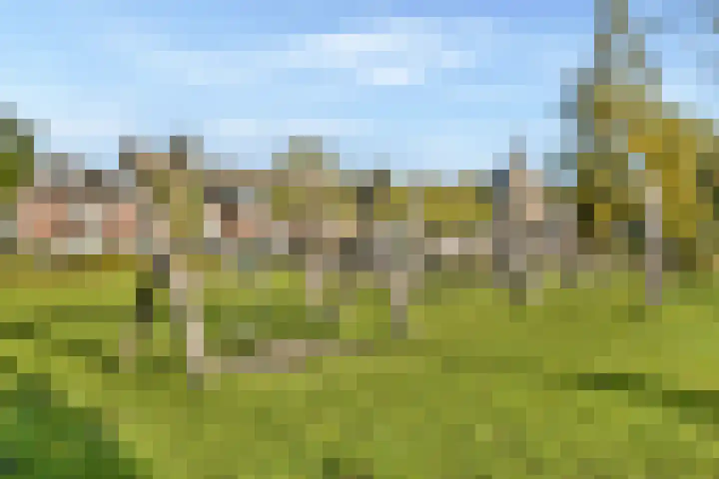 van Linschotenstraat 2 Lisse thumbnail 26