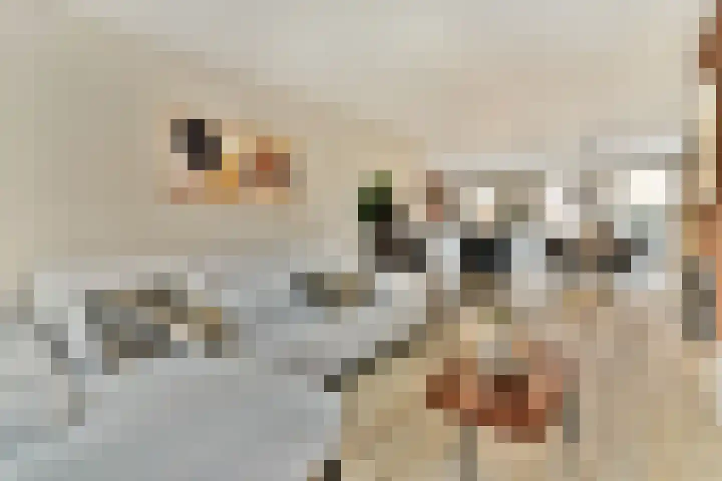van Linschotenstraat 2 Lisse thumbnail 9