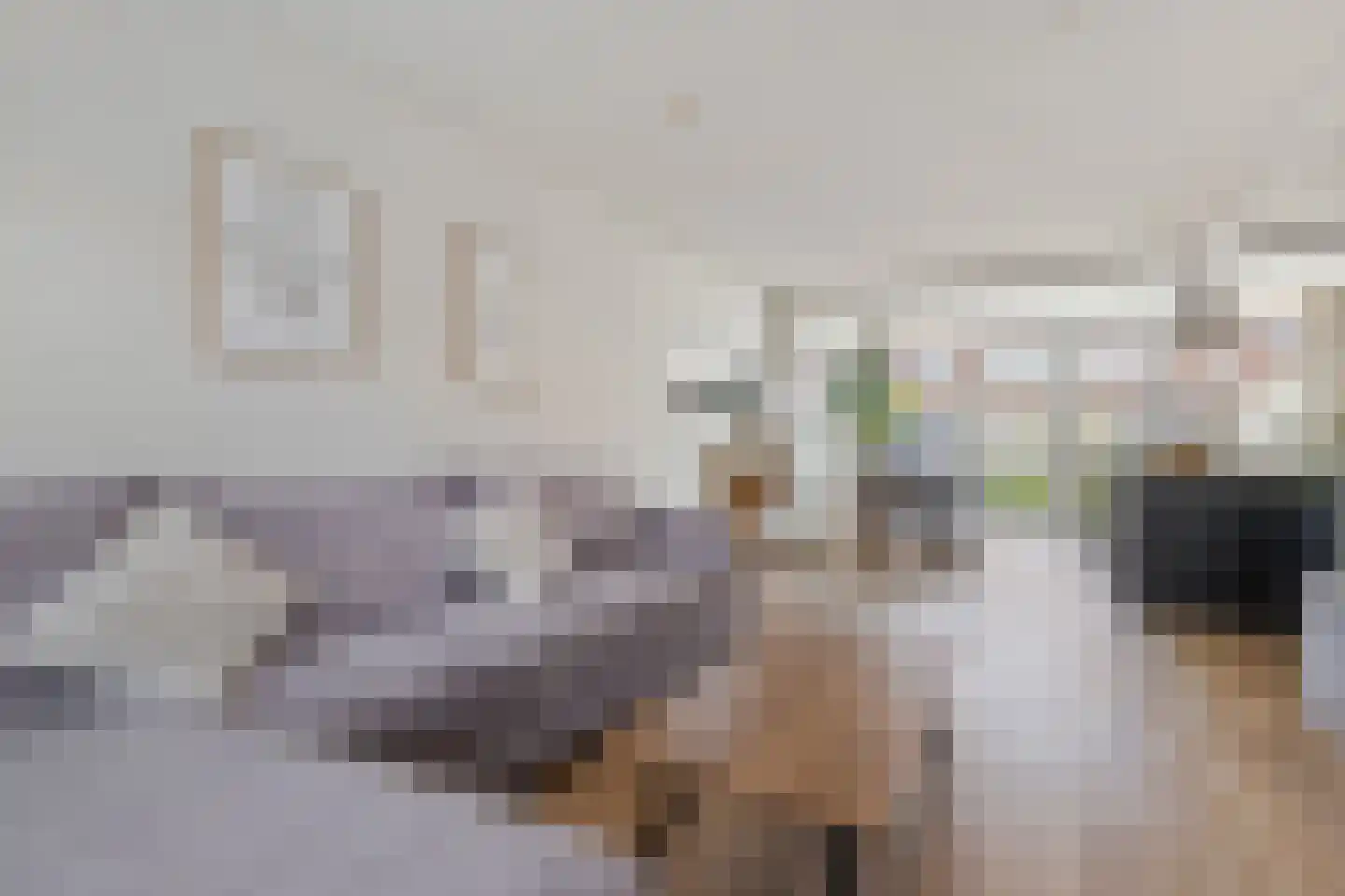 Van Linschotenstraat 26 Bussum thumbnail 8