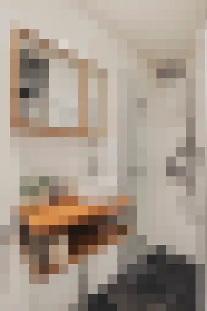 Van Linschotenstraat 27 Amsterdam thumbnail 18