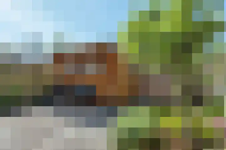 van Linschotenstraat 28 Hoogezand thumbnail 30