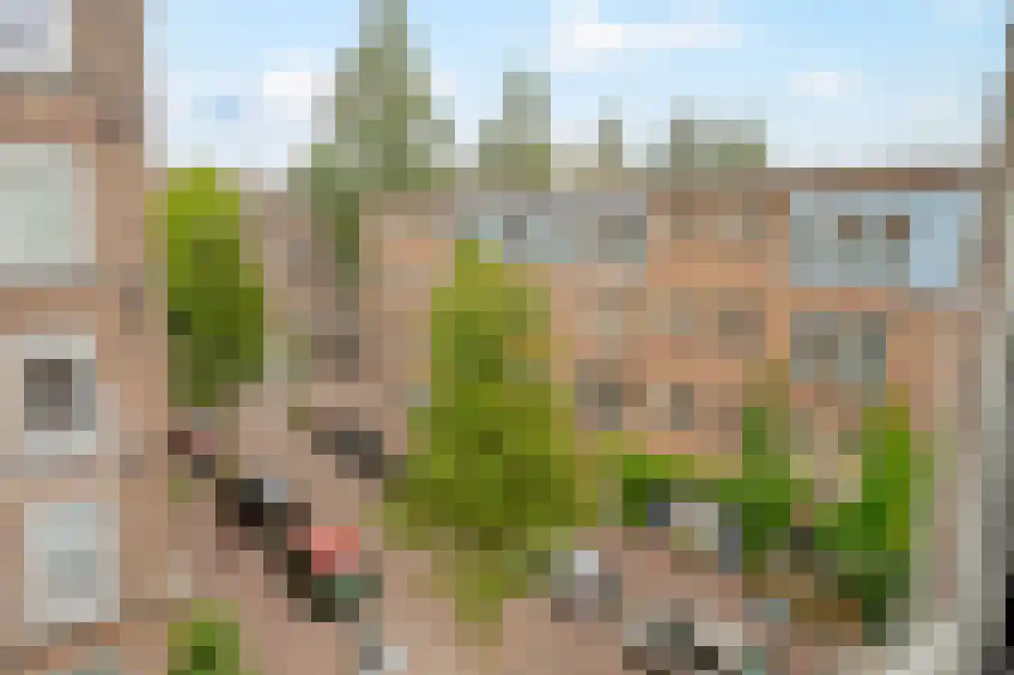 Van Linschotenstraat 38 Amsterdam thumbnail 9