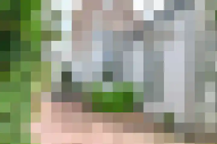 Van Linschotenstraat 4 IJmuiden thumbnail 5