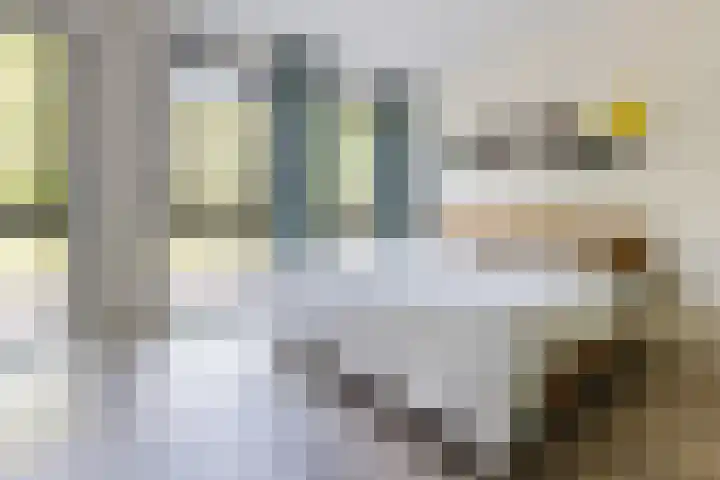 van Linschotenstraat 5 Hoogezand thumbnail 10