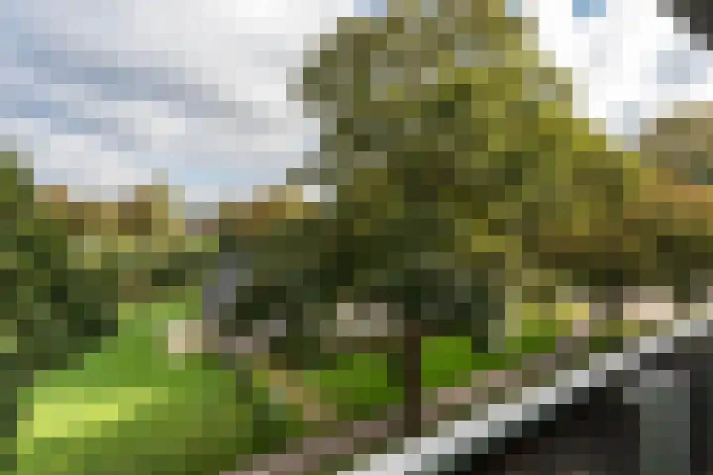 van Linschotenstraat 71 Hoogezand thumbnail 30