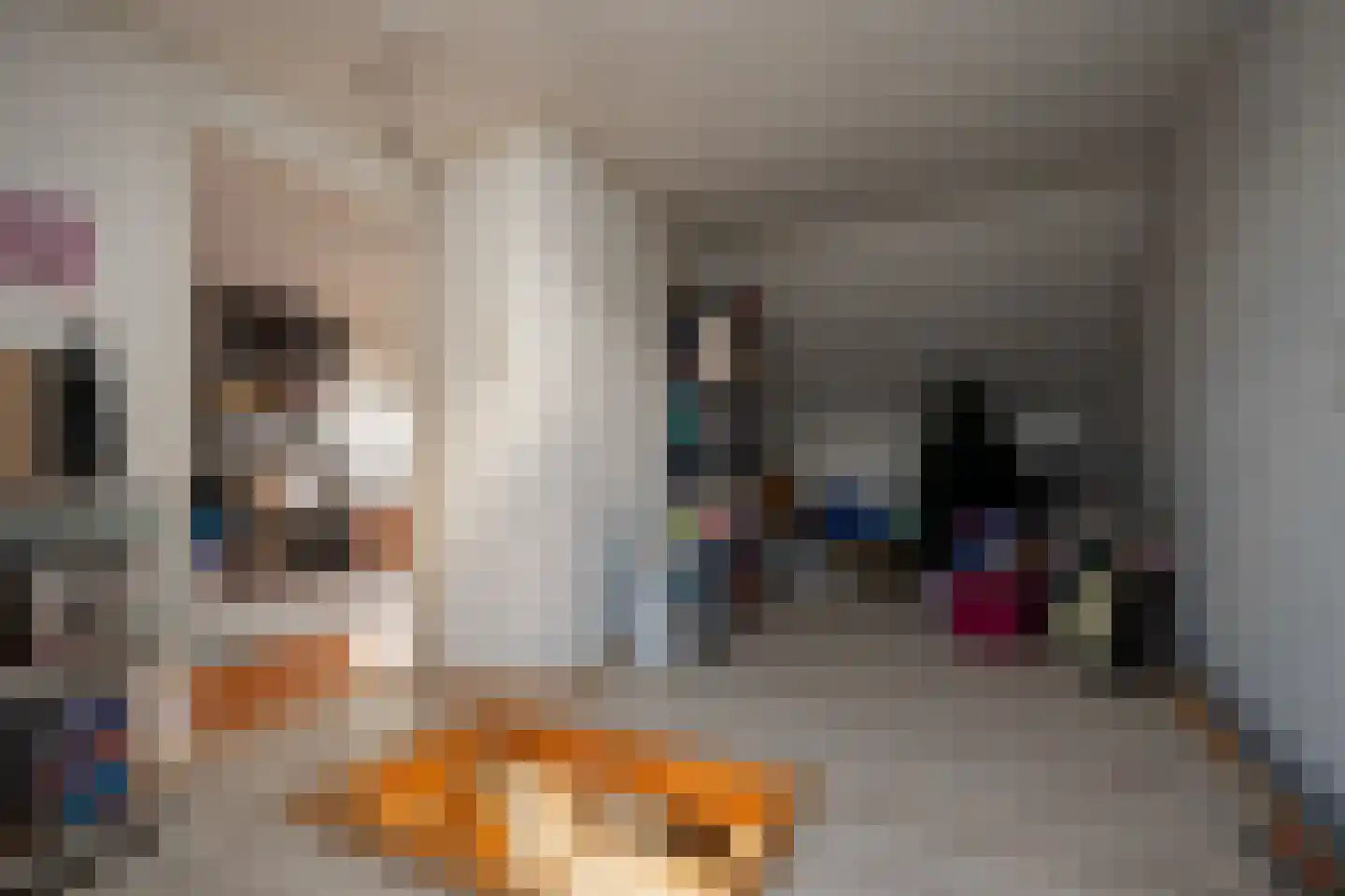 van Linschotenstraat 71 Hoogezand thumbnail 39