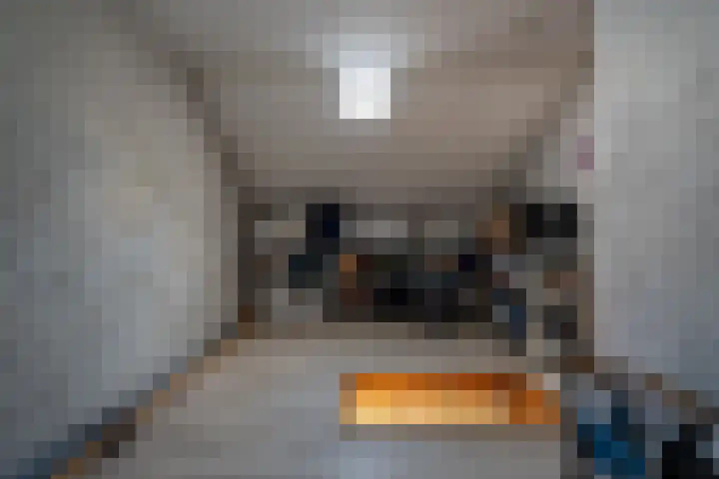 van Linschotenstraat 71 Hoogezand thumbnail 40