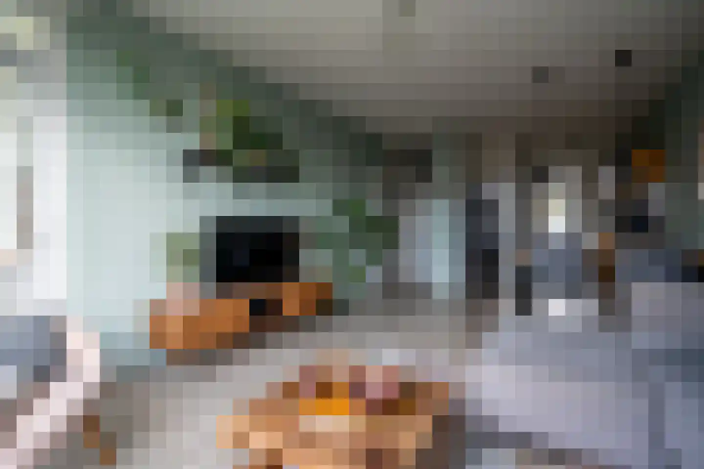 van Linschotenstraat 71 Hoogezand thumbnail 5