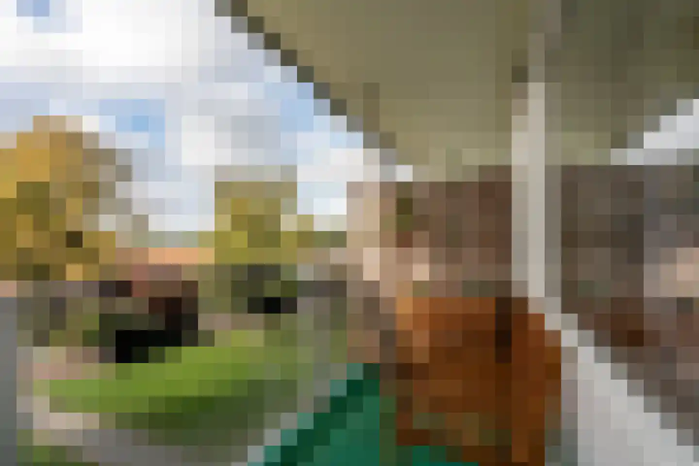 van Linschotenstraat 71 Hoogezand thumbnail 6