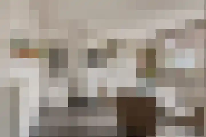 van Linschotenstraat 9 Valkenswaard thumbnail 13