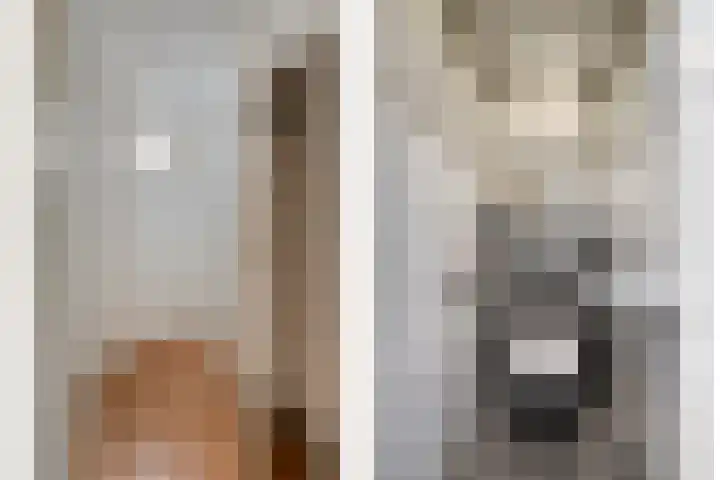 van Linschotenstraat 9 Valkenswaard thumbnail 30