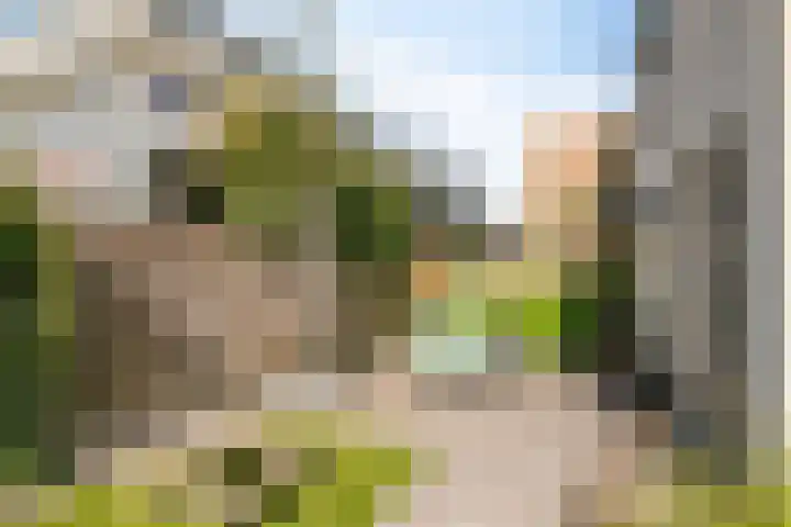 van Linschotenstraat 9 Valkenswaard thumbnail 34