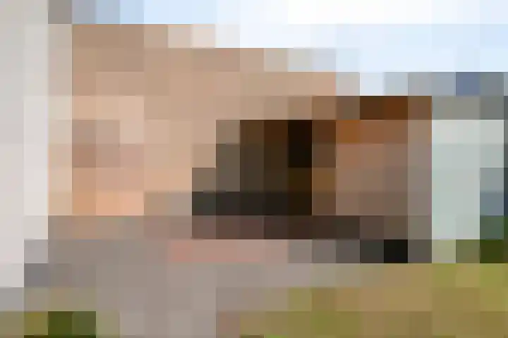 van Linschotenstraat 9 Valkenswaard thumbnail 37