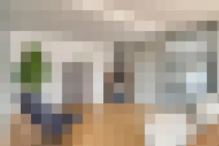 van Linschotenstraat 9 Valkenswaard thumbnail 5