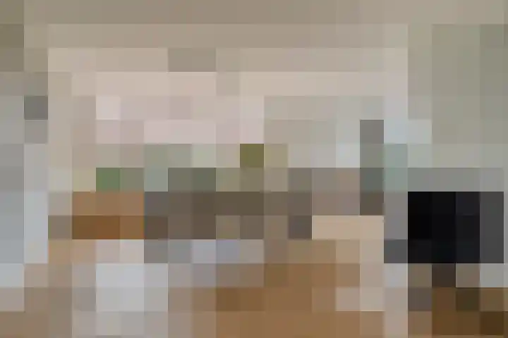 van Linschotenstraat 9 Valkenswaard thumbnail 6