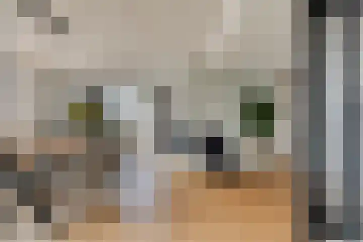 van Linschotenstraat 9 Valkenswaard thumbnail 7