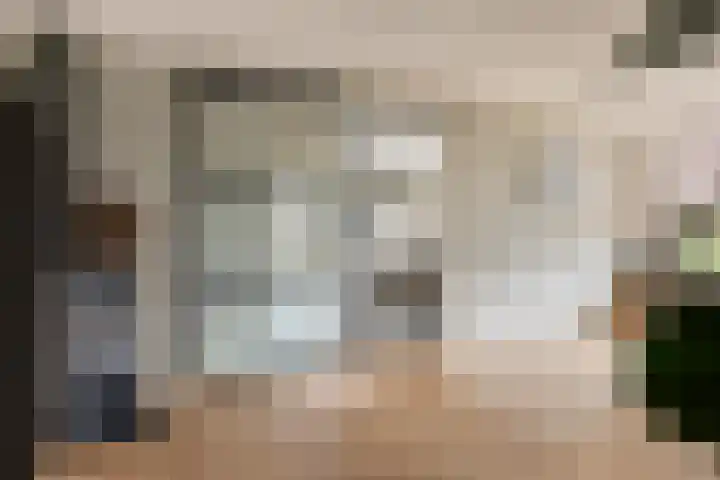 van Linschotenstraat 9 Valkenswaard thumbnail 8