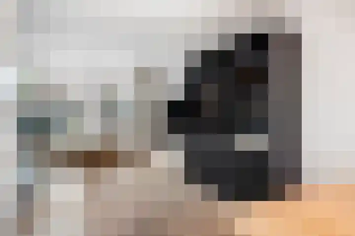 Van Lintrehof 4 Sittard thumbnail 15