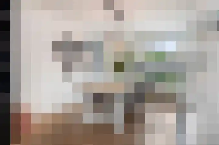 Van Lintrehof 4 Sittard thumbnail 19