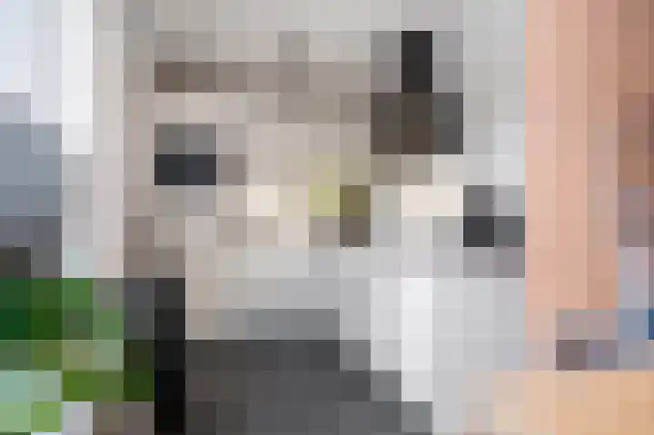 Van Lintrehof 4 Sittard thumbnail 21