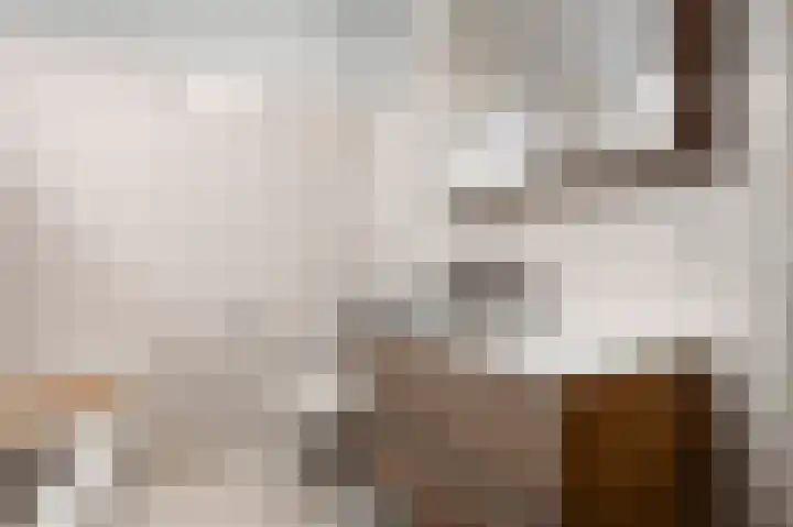 Van Lintrehof 4 Sittard thumbnail 27