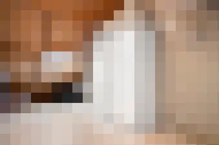 Van Lintrehof 4 Sittard thumbnail 35