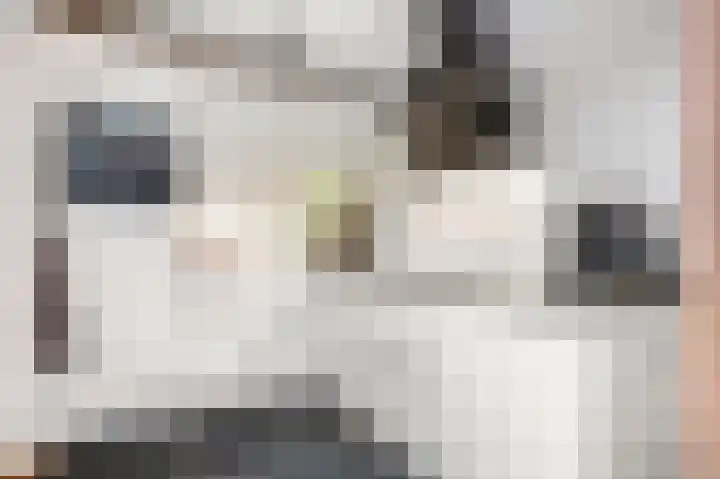 Van Lintrehof 4 Sittard thumbnail 4