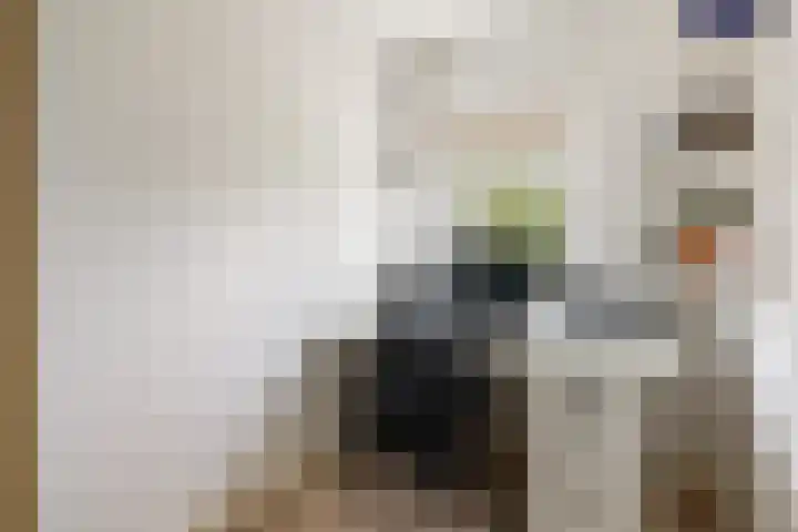 Van Lippe Biesterfeldstraat 24 Utrecht thumbnail 22