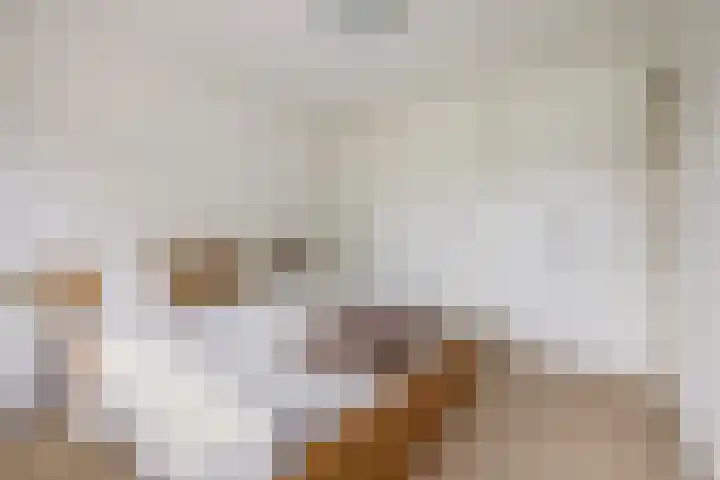 Van Lippe Biesterfeldstraat 24 Utrecht thumbnail 23