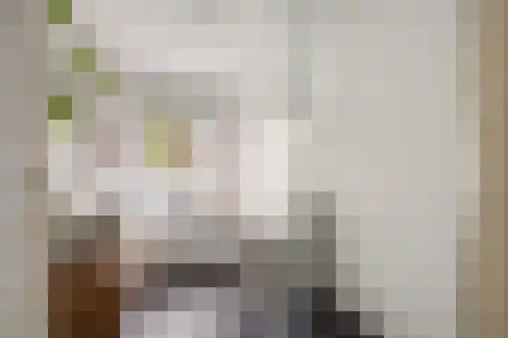 Van Lippe Biesterfeldstraat 24 Utrecht thumbnail 24