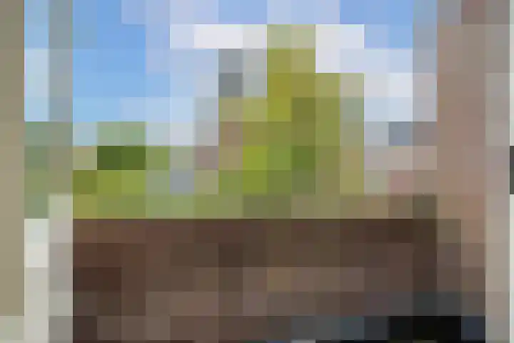 Van Lippe Biesterfeldstraat 24 Utrecht thumbnail 27