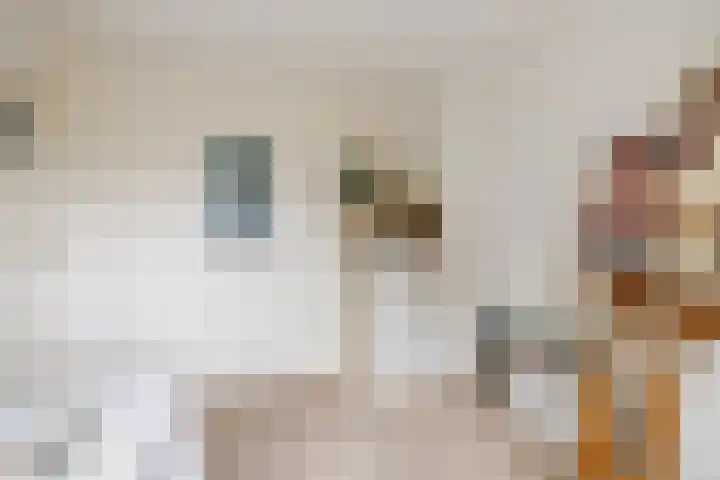 Van Lippe Biesterfeldstraat 24 Utrecht thumbnail 28